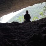 Pioneers trail